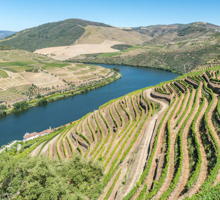 Unser nächstes Schiffsreise-Ziel: das Dourotal, Heimat des berühmten Portweins, Bildquelle: nicko cruises Schiffsreisen GmbH