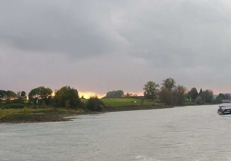1-rheinlandschaft