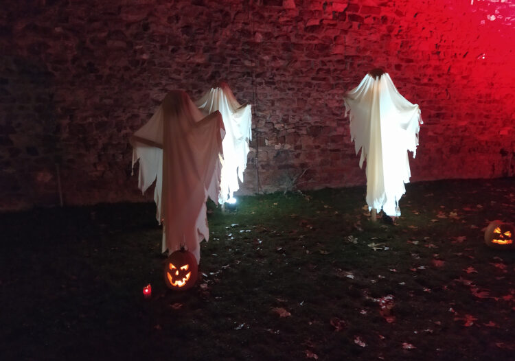 6-broemserburg-ruedesheim